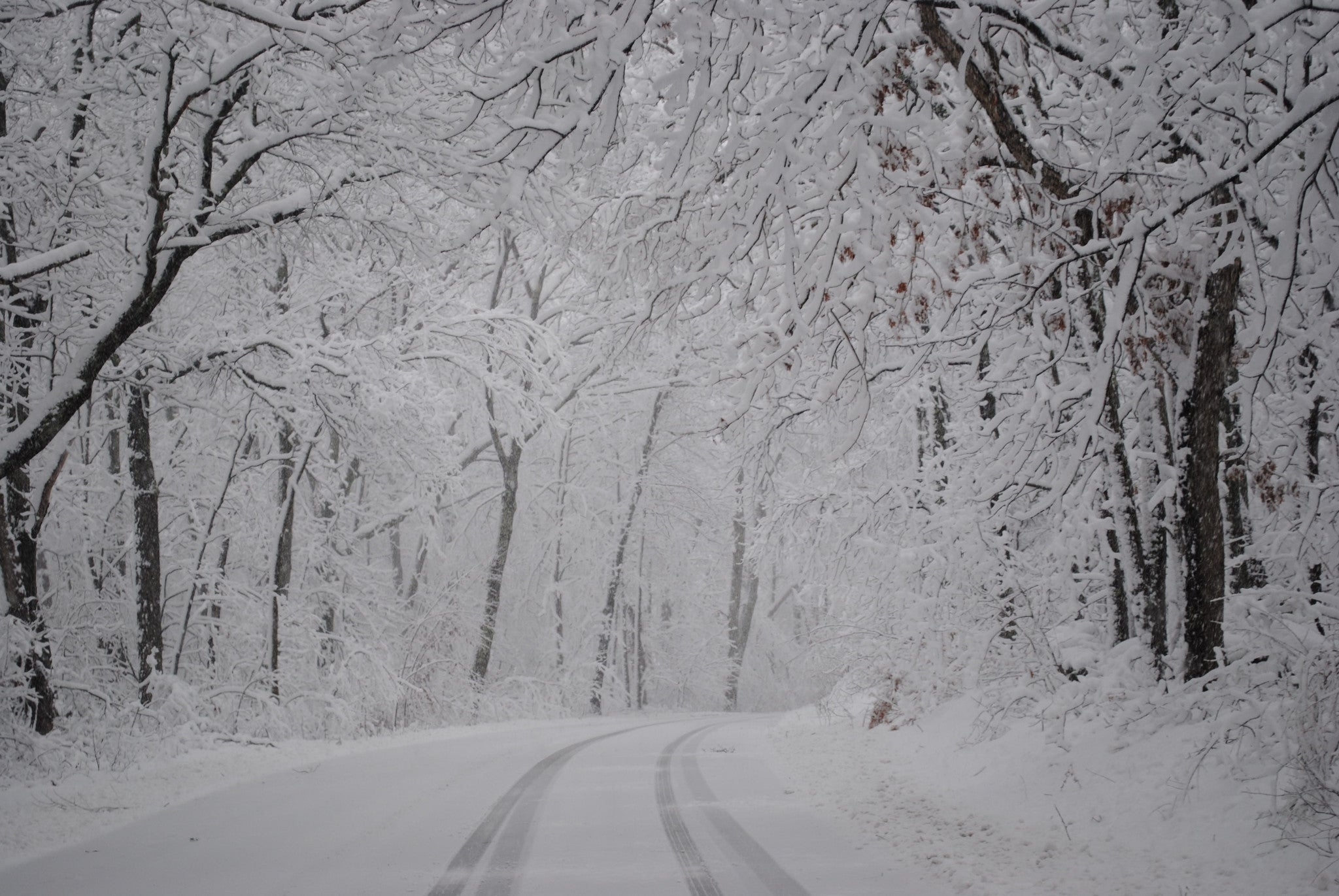 Snow Covered New England